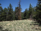 photo thumbnail #12