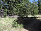 photo thumbnail #15
