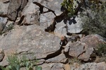 photo thumbnail #6