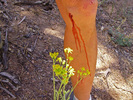 photo thumbnail #13