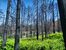 photo thumbnail #8
