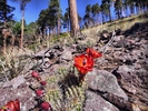 photo thumbnail #9