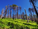 photo thumbnail #10