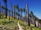 photo thumbnail #12