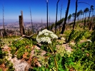 photo thumbnail #13