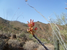photo thumbnail #2