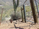 photo thumbnail #6