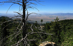 photo thumbnail #4