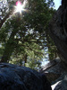 photo thumbnail #10