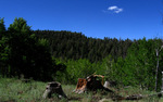 photo thumbnail #3