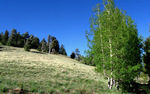 photo thumbnail #11