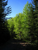 photo thumbnail #15