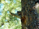 photo thumbnail #13
