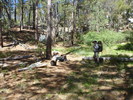 photo thumbnail #2