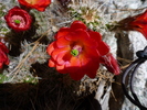 photo thumbnail #5