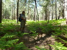 photo thumbnail #13