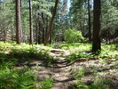 photo thumbnail #14