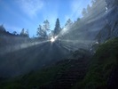 photo thumbnail #13