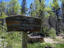 photo thumbnail #12