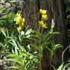 photo thumbnail #15