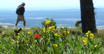 photo thumbnail #6