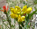 photo thumbnail #7