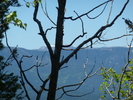 photo thumbnail #11