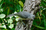 photo thumbnail #5