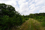photo thumbnail #2
