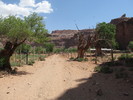 photo thumbnail #13
