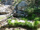 photo thumbnail #8