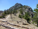 photo thumbnail #14