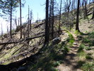 photo thumbnail #15