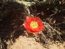 photo thumbnail #5
