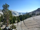 photo thumbnail #10