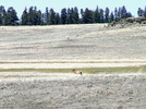 photo thumbnail #3