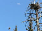 photo thumbnail #14