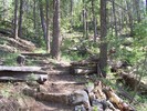 photo thumbnail #3