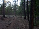 photo thumbnail #5