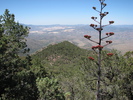 photo thumbnail #11