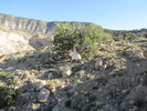 photo thumbnail #6
