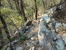 photo thumbnail #6