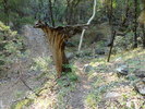 photo thumbnail #7