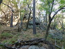 photo thumbnail #9