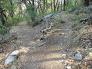 photo thumbnail #11