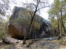 Featured Full Photo