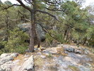 photo thumbnail #15