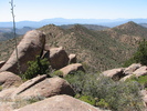 photo thumbnail #2