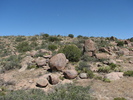 photo thumbnail #4