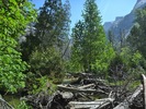 photo thumbnail #12